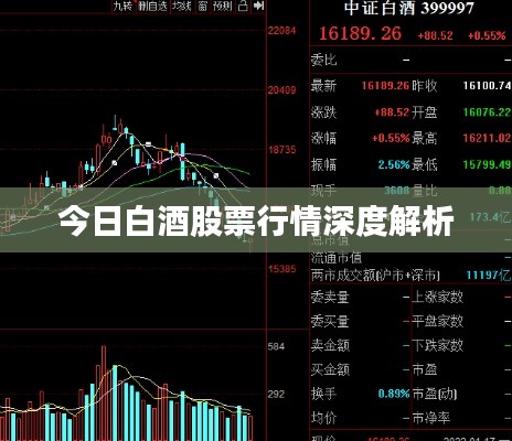 今日白酒股票行情深度解析