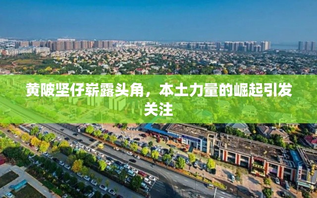 黃陂堅仔嶄露頭角，本土力量的崛起引發關注