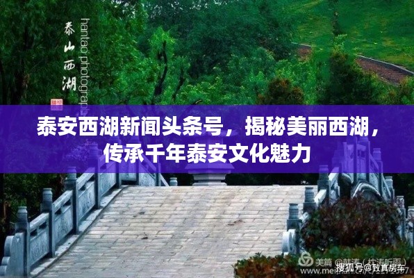 泰安西湖新聞頭條號，揭秘美麗西湖，傳承千年泰安文化魅力