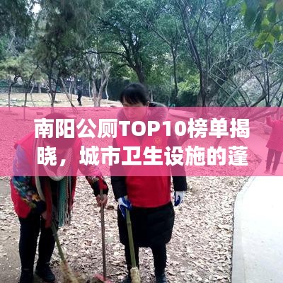 南陽(yáng)公廁TOP10榜單揭曉,城市衛(wèi)生設(shè)施的蓬勃發(fā)展解讀