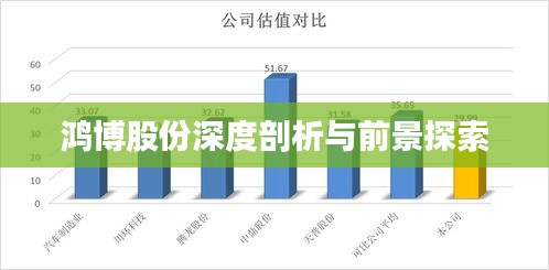 鴻博股份深度剖析與前景探索