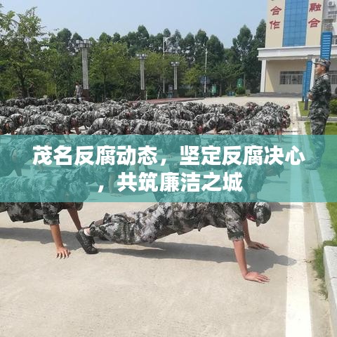 茂名反腐動態,堅定反腐決心,共筑廉潔之城