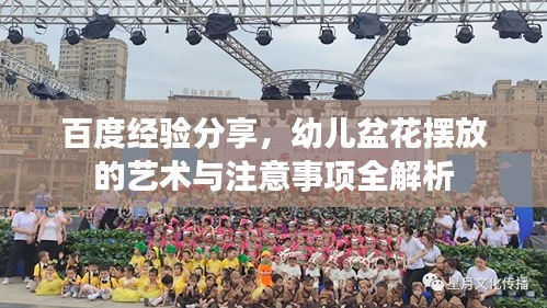 百度經驗分享，幼兒盆花擺放的藝術與注意事項全解析