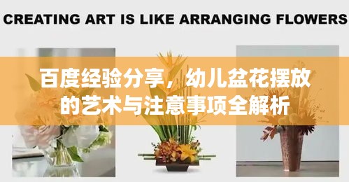 百度經(jīng)驗分享,幼兒盆花擺放的藝術(shù)與注意事項全解析