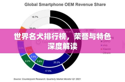 世界名犬排行榜,榮譽與特色深度解讀
