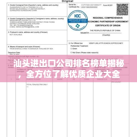 汕頭進出口公司排名榜單揭秘，全方位了解優(yōu)質(zhì)企業(yè)大全