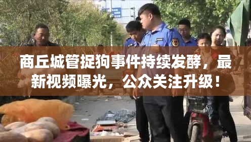 商丘城管捉狗事件持續發酵,最新視頻曝光,公眾關注升級!