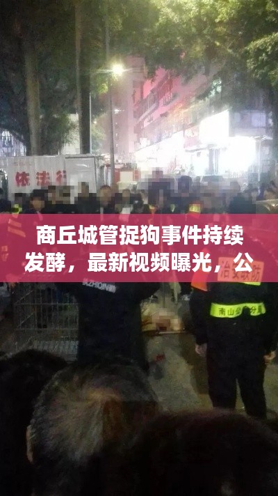商丘城管捉狗事件持續(xù)發(fā)酵,最新視頻曝光,公眾關(guān)注升級(jí)!