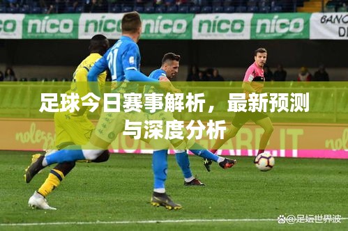足球今日賽事解析,最新預測與深度分析