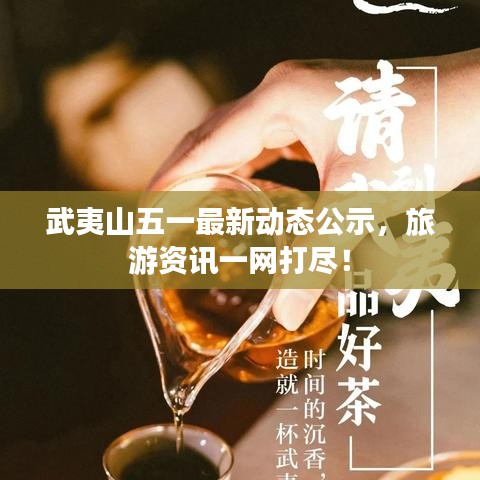 武夷山五一最新動態公示,旅游資訊一網打盡!