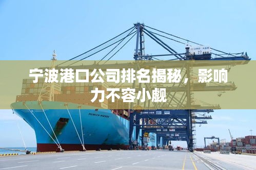 寧波港口公司排名揭秘,影響力不容小覷