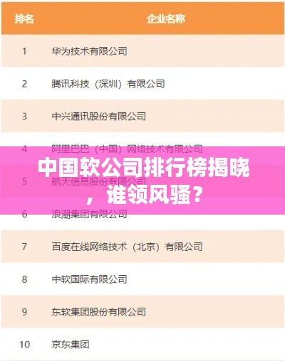 中國軟公司排行榜揭曉,誰領風騷?