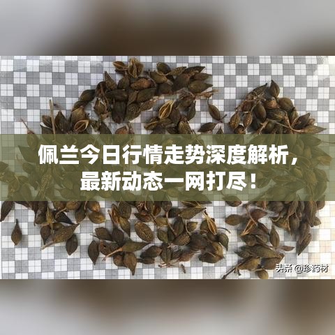 佩蘭今日行情走勢深度解析,最新動態(tài)一網(wǎng)打盡!