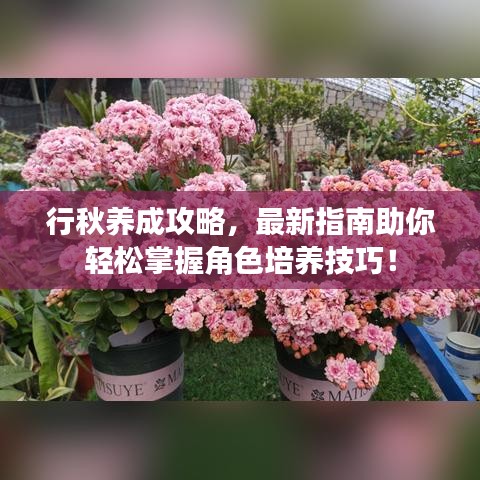 行秋養成攻略，最新指南助你輕松掌握角色培養技巧！