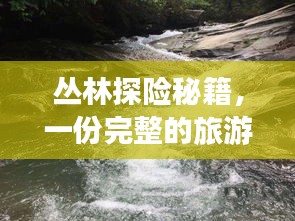 叢林探險秘籍,一份完整的旅游攻略