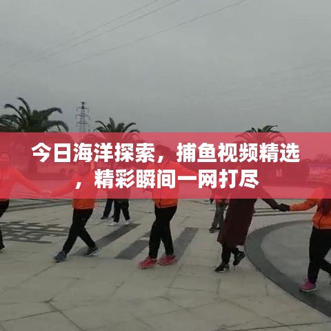 今日海洋探索，捕魚視頻精選，精彩瞬間一網打盡