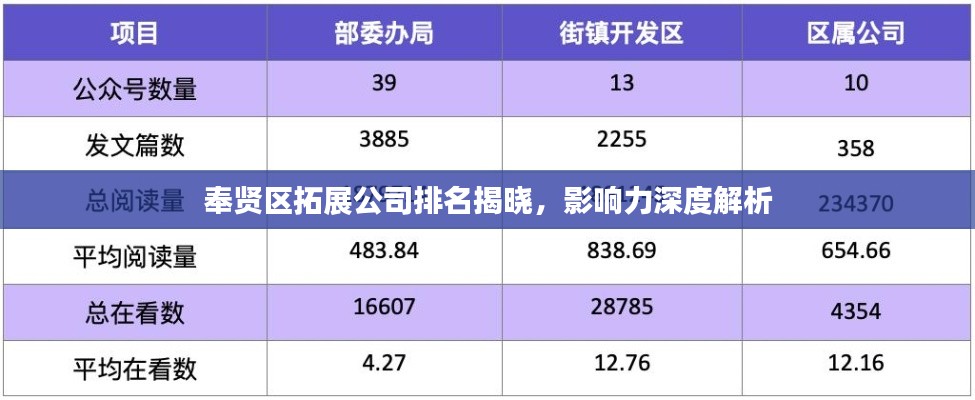 奉賢區拓展公司排名揭曉，影響力深度解析