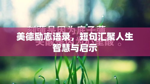 美德勵志語錄,短句匯聚人生智慧與啟示