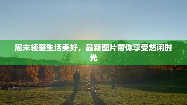 周末領略生活美好，最新圖片帶你享受悠閑時光