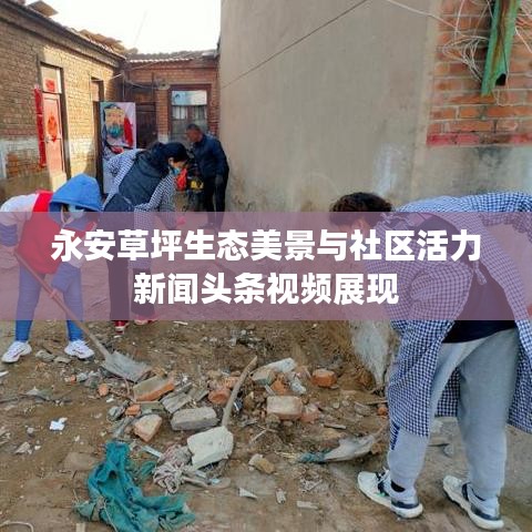 永安草坪生態美景與社區活力新聞頭條視頻展現