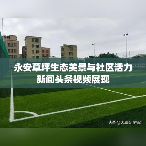 永安草坪生態美景與社區活力新聞頭條視頻展現