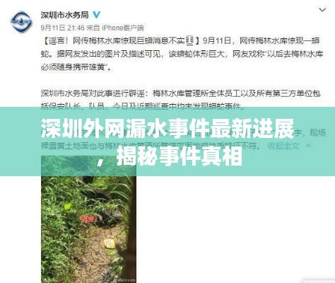 深圳外網漏水事件最新進展,揭秘事件真相