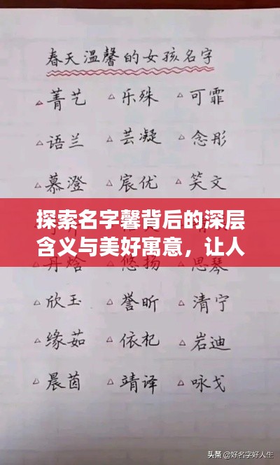 探索名字馨背后的深層含義與美好寓意，讓人心動的名字故事！