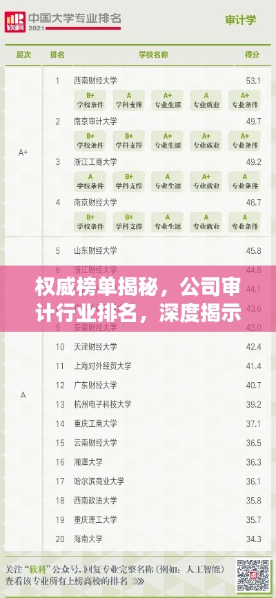 權(quán)威榜單揭秘，公司審計(jì)行業(yè)排名，深度揭示行業(yè)格局