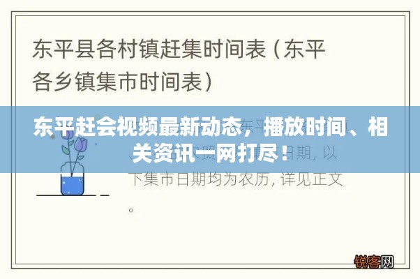 東平趕會視頻最新動態(tài)，播放時間、相關(guān)資訊一網(wǎng)打盡！