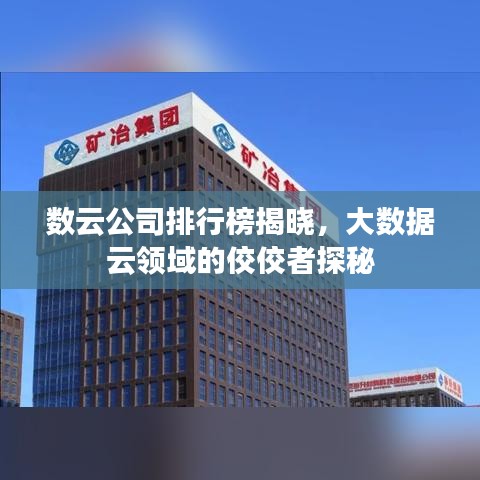 數云公司排行榜揭曉,大數據云領域的佼佼者探秘
