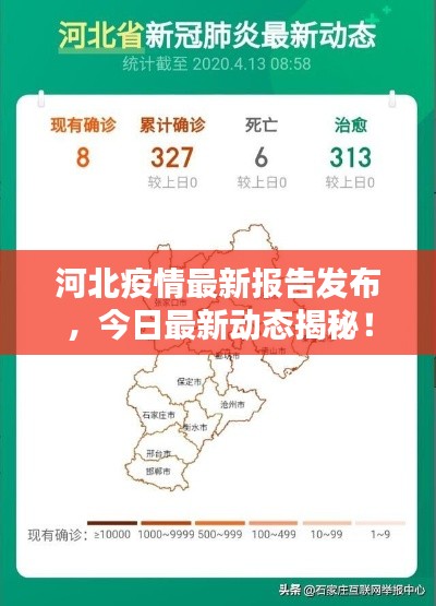 河北疫情最新報告發(fā)布,今日最新動態(tài)揭秘!