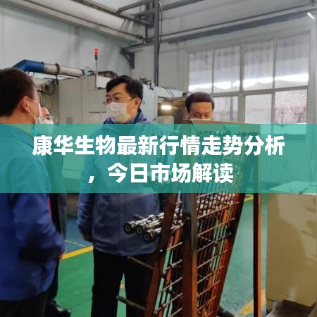 康華生物最新行情走勢分析，今日市場解讀