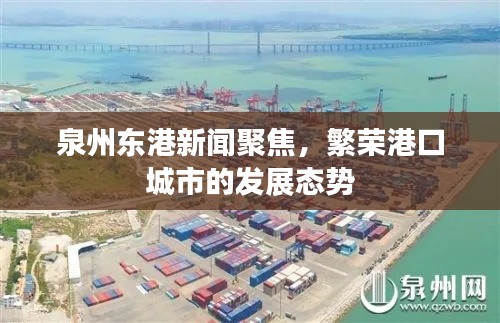 泉州東港新聞聚焦，繁榮港口城市的發(fā)展態(tài)勢(shì)