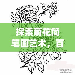 探索菊花簡筆畫藝術,百度上的創意手繪之旅