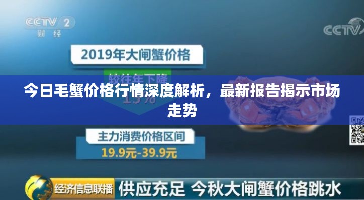 今日毛蟹價格行情深度解析，最新報告揭示市場走勢