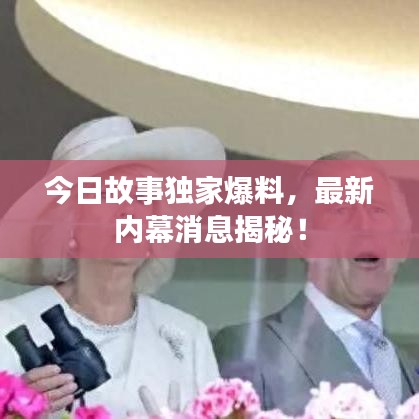 今日故事獨家爆料,最新內幕消息揭秘!