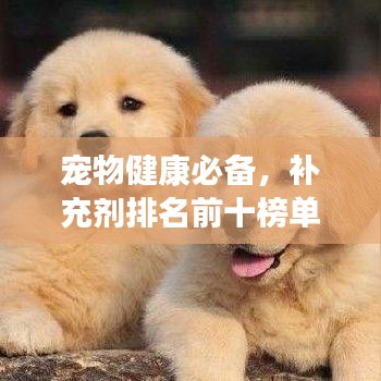 寵物健康必備,補充劑排名前十榜單揭曉!