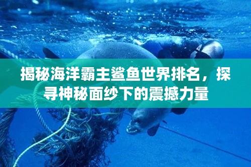 揭秘海洋霸主鯊魚世界排名，探尋神秘面紗下的震撼力量