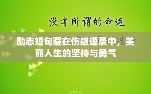 勵志短句藏在傷感語錄中，美麗人生的堅持與勇氣