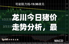 龍川今日豬價(jià)走勢(shì)分析,最新行情解讀