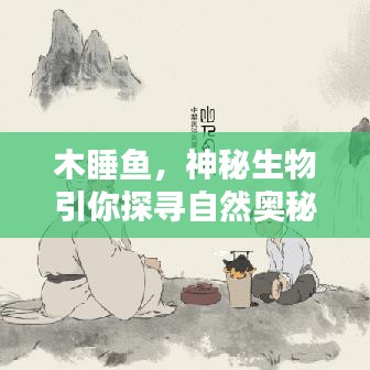 木睡魚,神秘生物引你探尋自然奧秘
