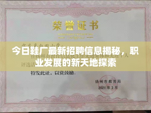 今日鞋廠最新招聘信息揭秘,職業發展的新天地探索