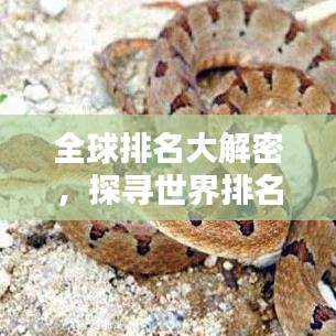 全球排名大解密,探尋世界排名背后的秘密!